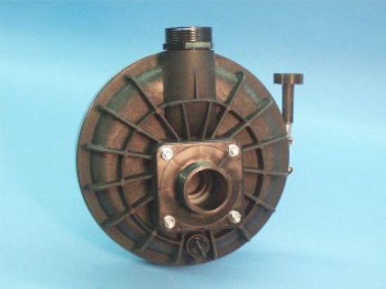 321103: Wetend, Advantge Pool Master, 56 Frame Square Flange, 1.0HP, 1-1/2"MBT In/Out, Center Discharge w/ Trap & Lid