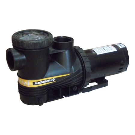 Picture for category In Ground Pool Pumps