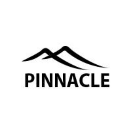 Picture for manufacturer Pinnacle Systems